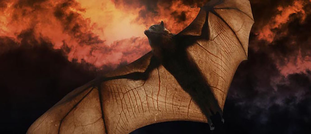Flying bat